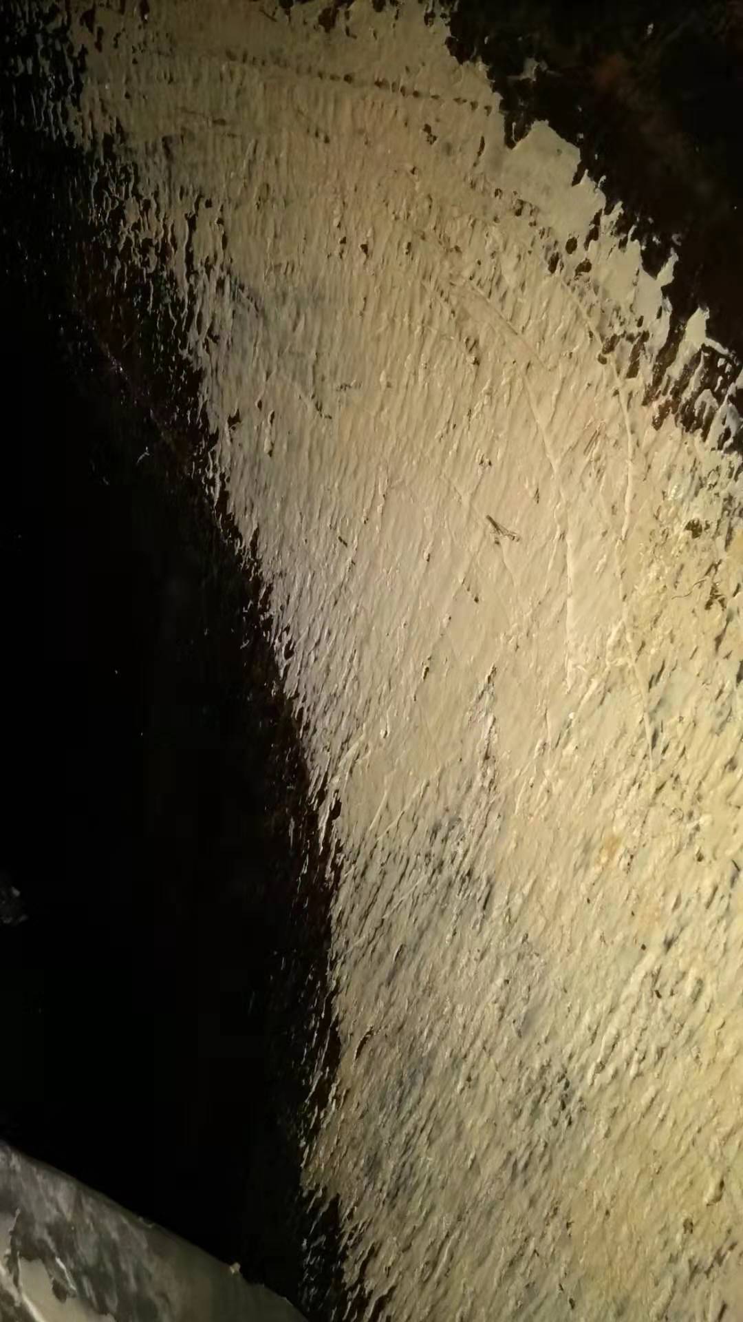水性机叶轮修复 水性机叶轮修复